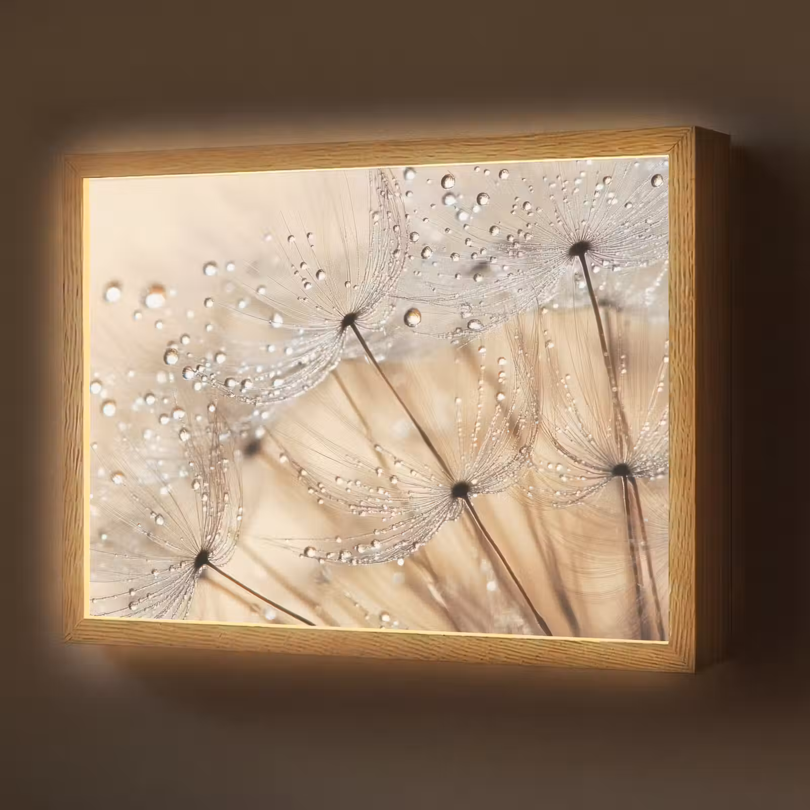 Lightbox - Wandlamp - Paardenbloem - Abstract - Natuur - Beige — 1