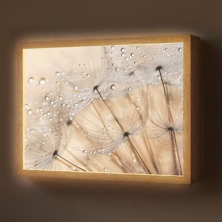 Lightbox - Wandlamp - Paardenbloem - Abstract - Natuur - Beige — 1