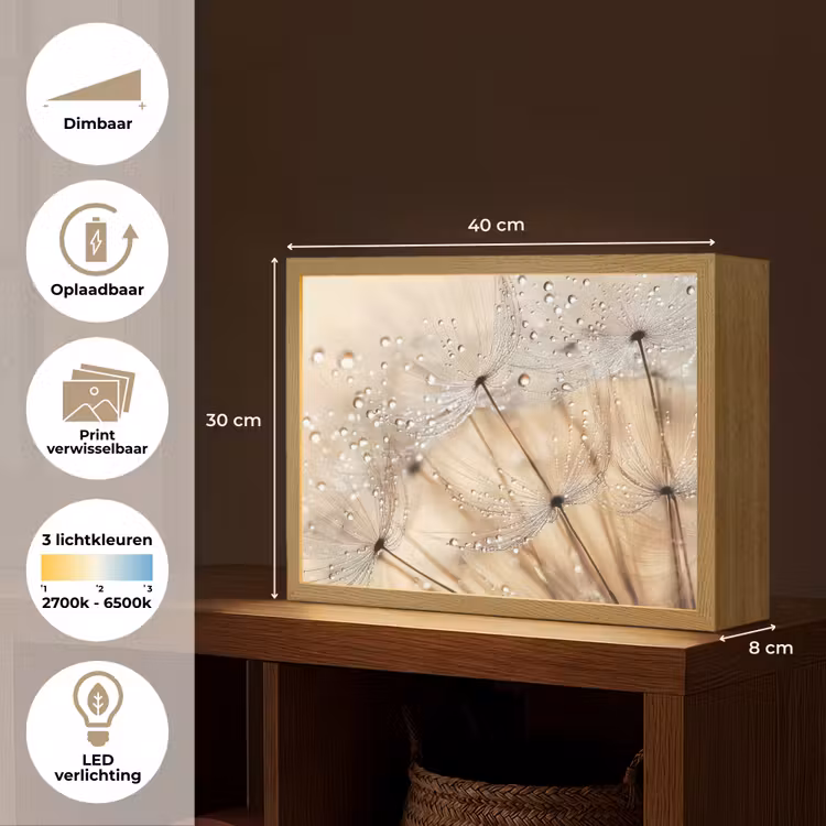 Lightbox - Wandlamp - Paardenbloem - Abstract - Natuur - Beige — 10