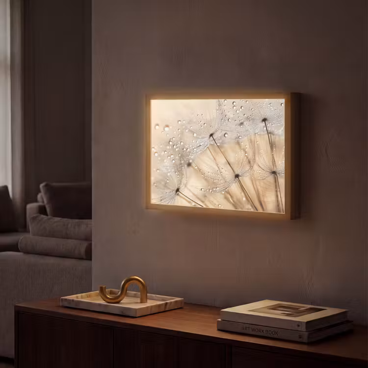 Lightbox - Wandlamp - Paardenbloem - Abstract - Natuur - Beige — 2