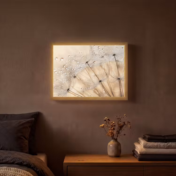 Lightbox - Wandlamp - Paardenbloem - Abstract - Natuur - Beige — 3