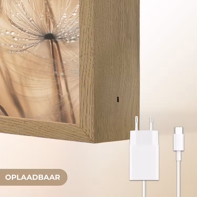 Lightbox - Wandlamp - Paardenbloem - Abstract - Natuur - Beige — 7