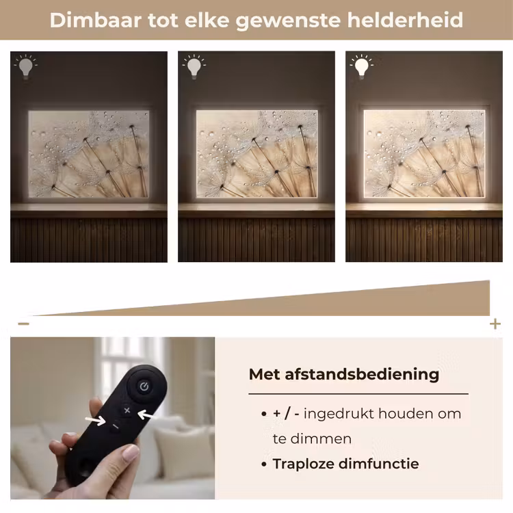 Lightbox - Wandlamp - Paardenbloem - Abstract - Natuur - Beige — 9