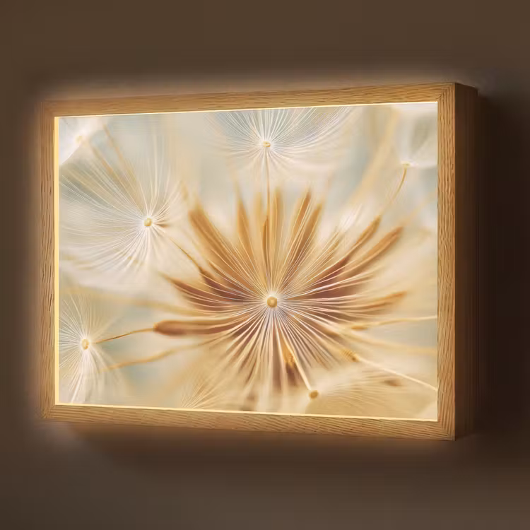 Lightbox - Wandlamp - Paardenbloem - Beige - Abstract - Modern - Natuur — 1