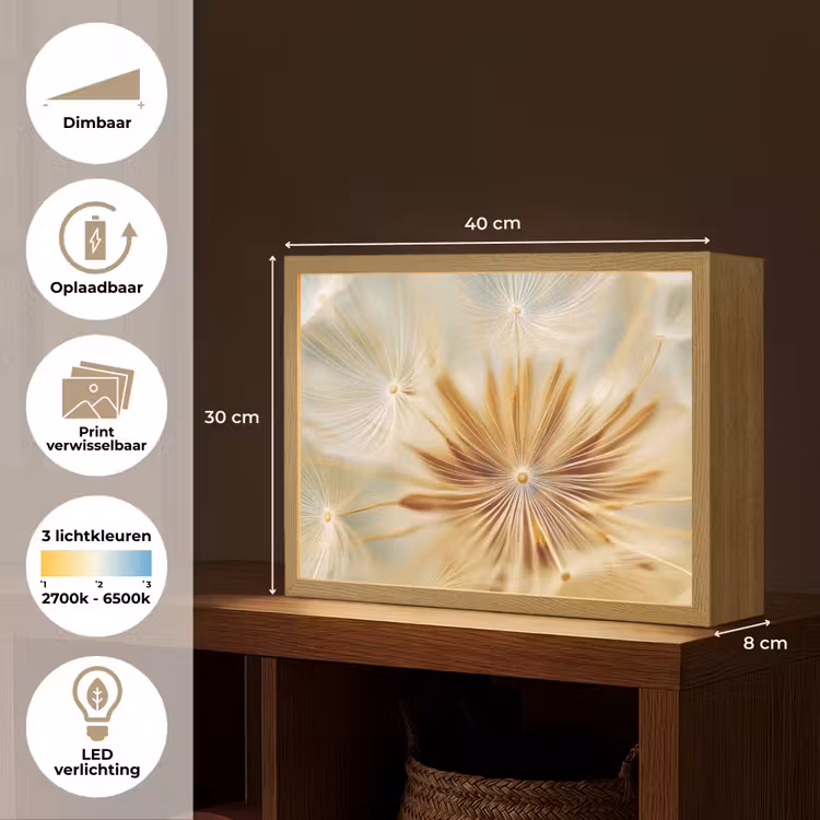 Lightbox - Wandlamp - Paardenbloem - Beige - Abstract - Modern - Natuur — 10