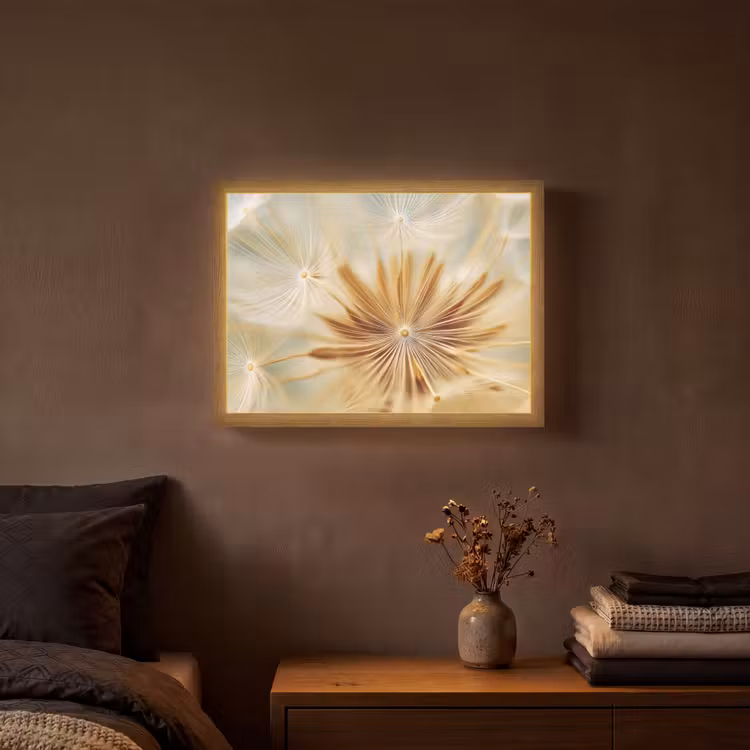 Lightbox - Wandlamp - Paardenbloem - Beige - Abstract - Modern - Natuur — 3