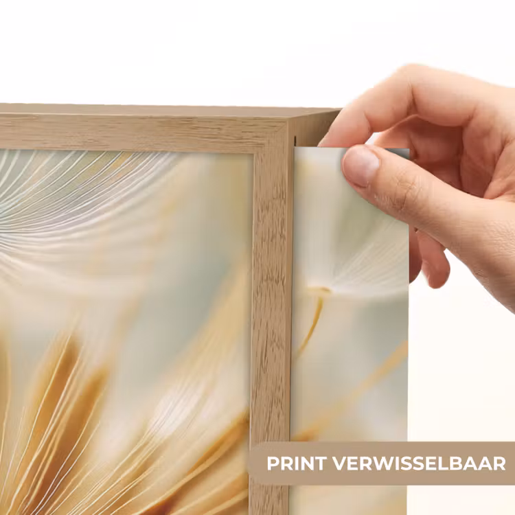 Lightbox - Wandlamp - Paardenbloem - Beige - Abstract - Modern - Natuur — 5