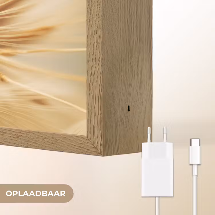 Lightbox - Wandlamp - Paardenbloem - Beige - Abstract - Modern - Natuur — 7