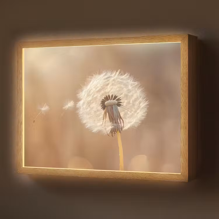 Lightbox - Wandlamp - Paardenbloem - Beige - Natuur - Bloem — 1