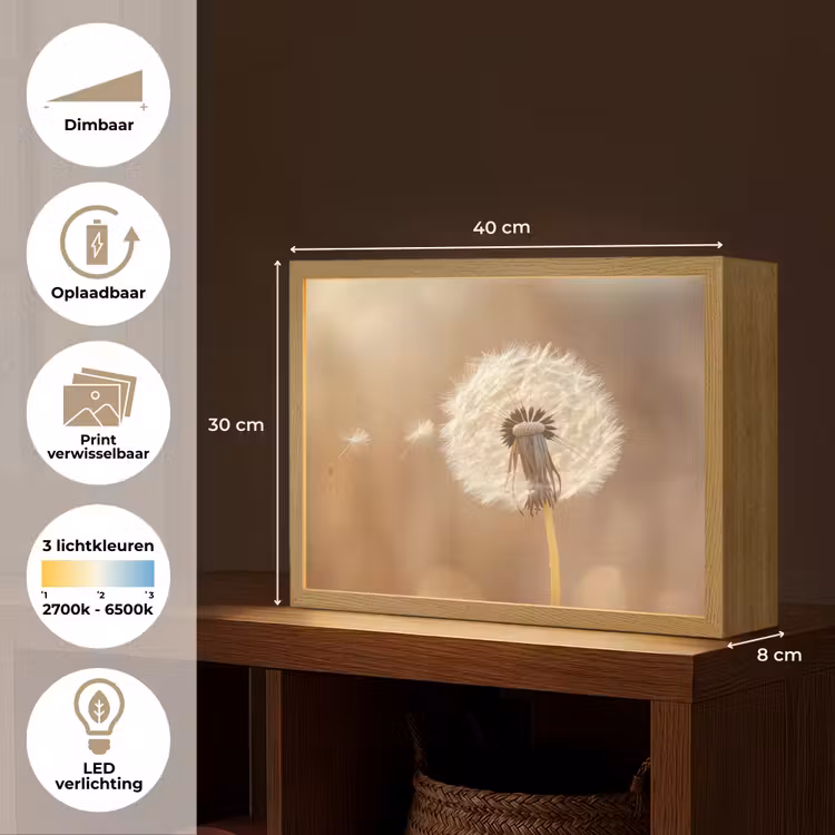 Lightbox - Wandlamp - Paardenbloem - Beige - Natuur - Bloem — 10
