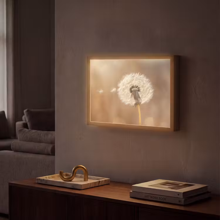 Lightbox - Wandlamp - Paardenbloem - Beige - Natuur - Bloem — 2
