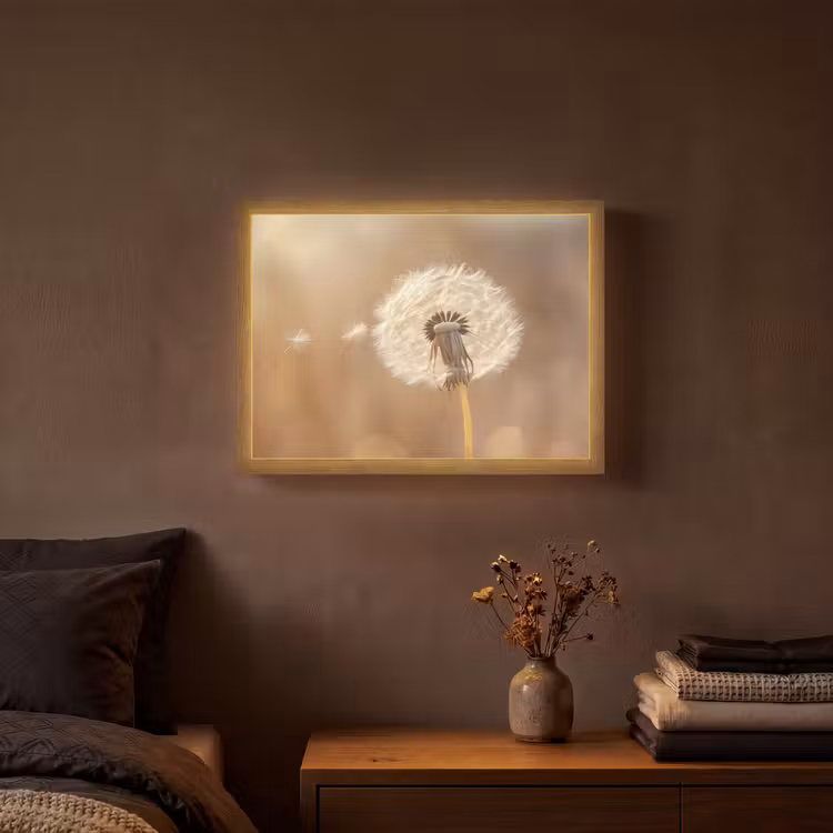 Lightbox - Wandlamp - Paardenbloem - Beige - Natuur - Bloem — 3
