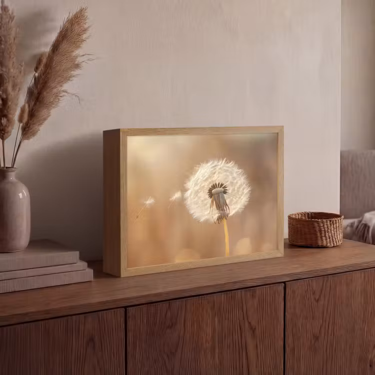 Lightbox - Wandlamp - Paardenbloem - Beige - Natuur - Bloem — 4