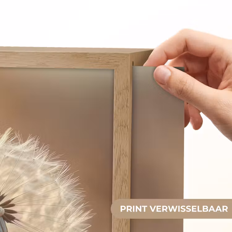 Lightbox - Wandlamp - Paardenbloem - Beige - Natuur - Bloem — 5
