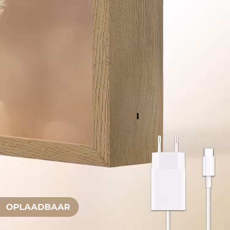 Lightbox - Wandlamp - Paardenbloem - Beige - Natuur - Bloem — 7