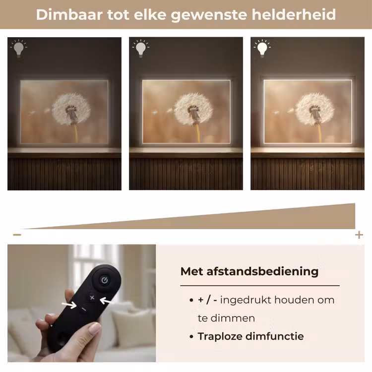 Lightbox - Wandlamp - Paardenbloem - Beige - Natuur - Bloem — 9