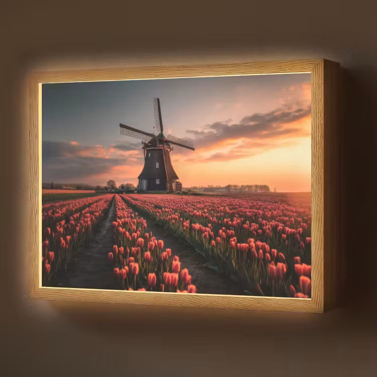 Lightbox - Wandlamp - Molen - Zonsondergang - Tulpen - Rood — 1