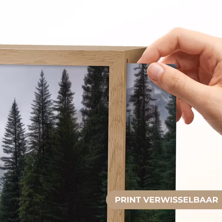 Lightbox - Wandlamp - Sparrenbos - Weg - Bergen - Sneeuw — 5