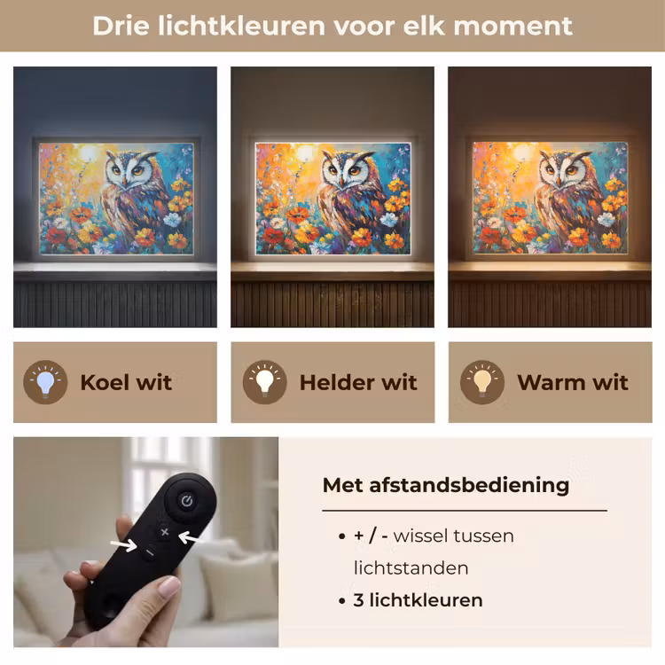 Lightbox - Wandlamp - Uil - Bloemen - Kunst - Zonsondergang — 8