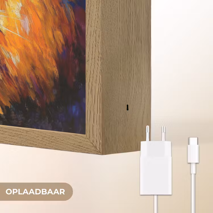 Lightbox - Wandlamp - Dieren - Kunst - Leeuw - Tijger — 7