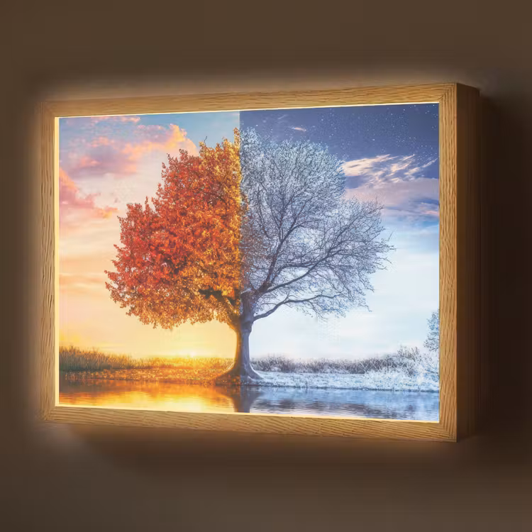 Lightbox - Wandlamp - Seizoenen - Kunst - Boom - Herfst - Winter — 1