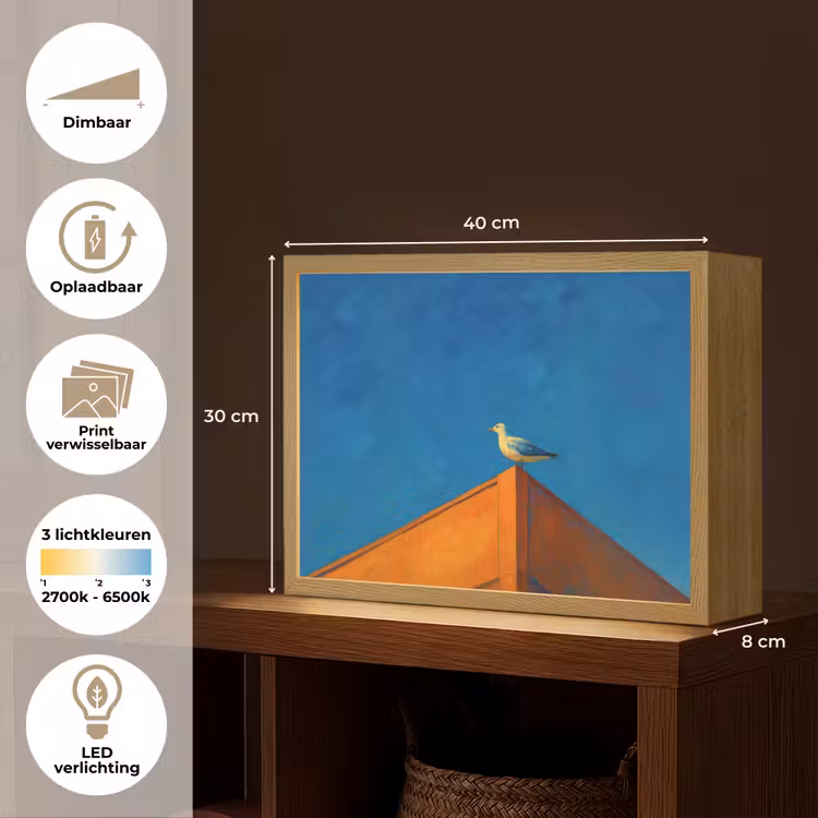 Lightbox - Wandlamp - Meeuw - Gebouw - Lucht - Geschilderd — 10