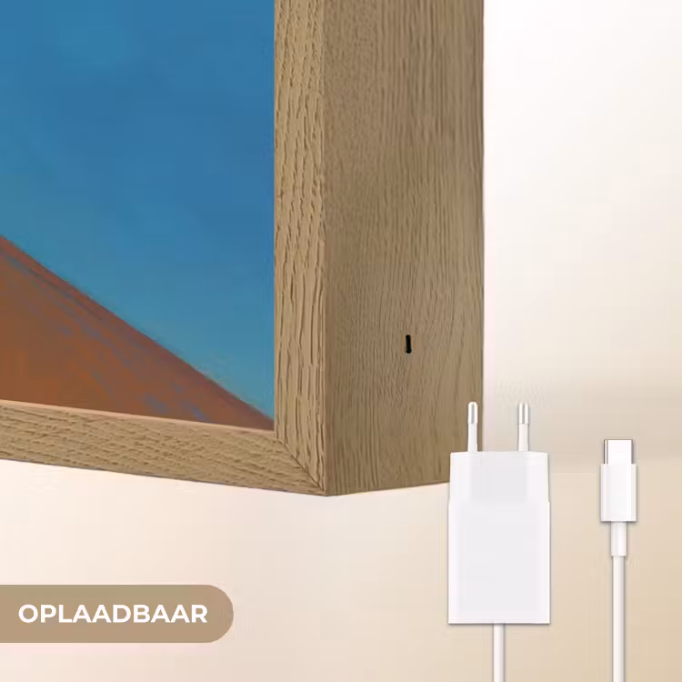 Lightbox - Wandlamp - Meeuw - Gebouw - Lucht - Geschilderd — 7
