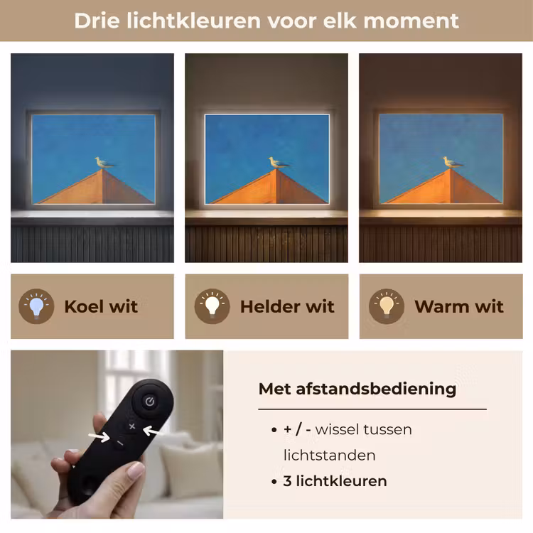 Lightbox - Wandlamp - Meeuw - Gebouw - Lucht - Geschilderd — 8