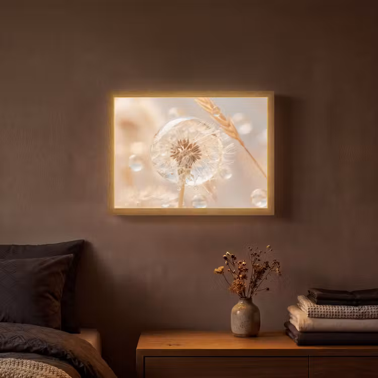 Lightbox - Wandlamp - Paardenbloem - Water - Natuur - Stilleven - Modern — 3