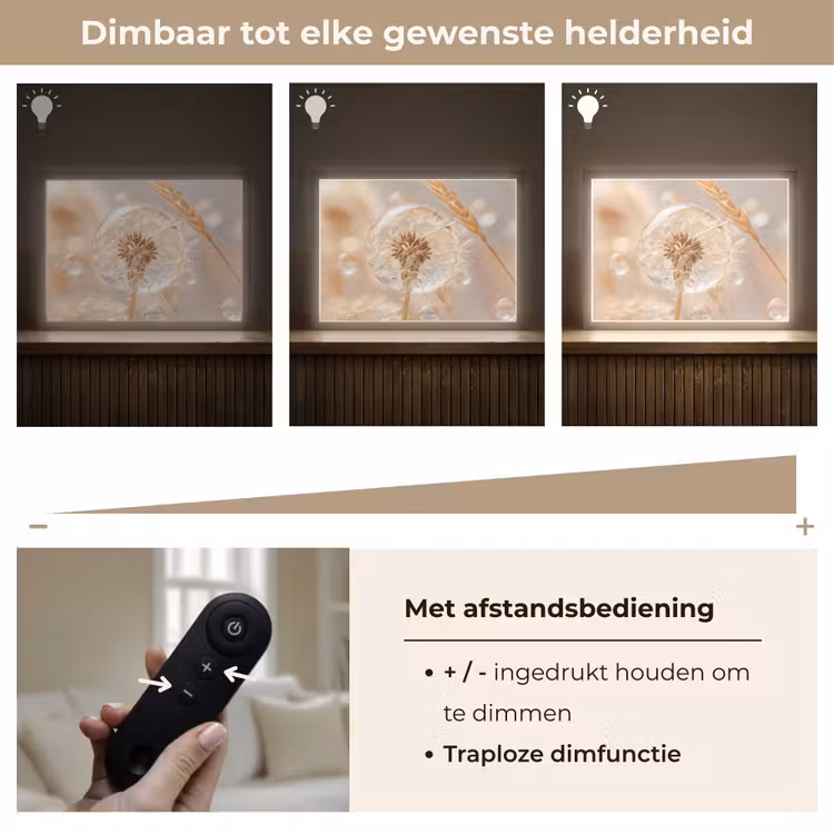 Lightbox - Wandlamp - Paardenbloem - Water - Natuur - Stilleven - Modern — 9