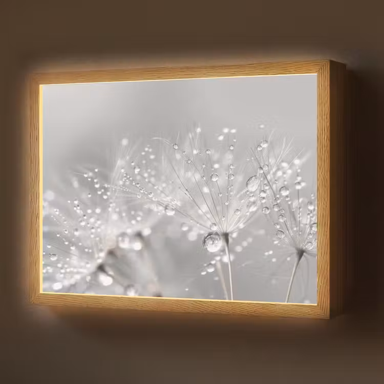 Lightbox - Wandlamp - Paardenbloem - Waterdruppels - Stilleven - Modern — 1