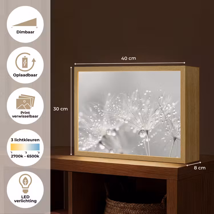Lightbox - Wandlamp - Paardenbloem - Waterdruppels - Stilleven - Modern — 10
