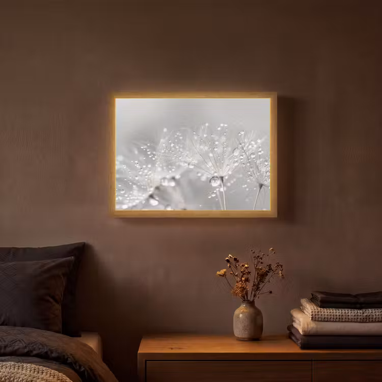 Lightbox - Wandlamp - Paardenbloem - Waterdruppels - Stilleven - Modern — 3