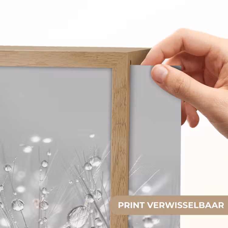 Lightbox - Wandlamp - Paardenbloem - Waterdruppels - Stilleven - Modern — 5