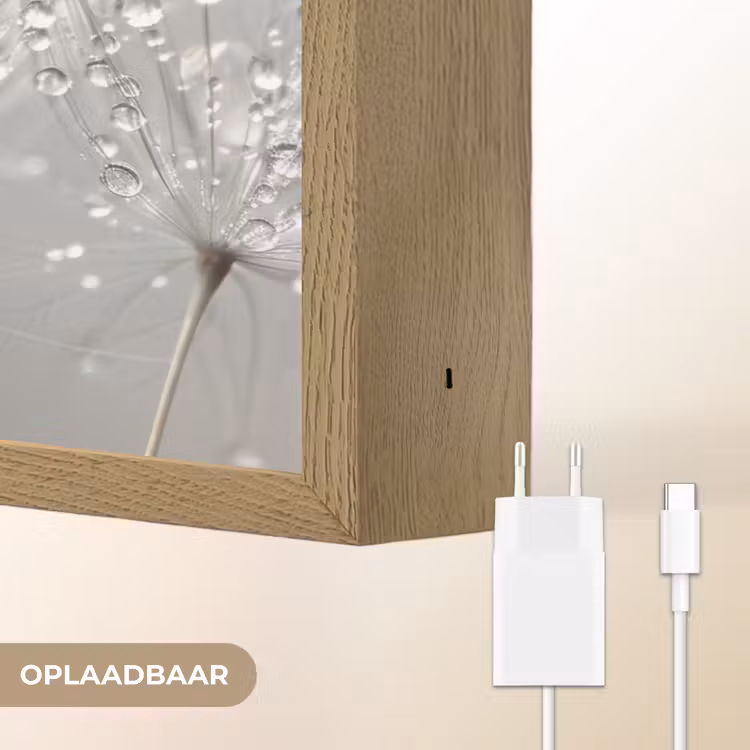 Lightbox - Wandlamp - Paardenbloem - Waterdruppels - Stilleven - Modern — 7