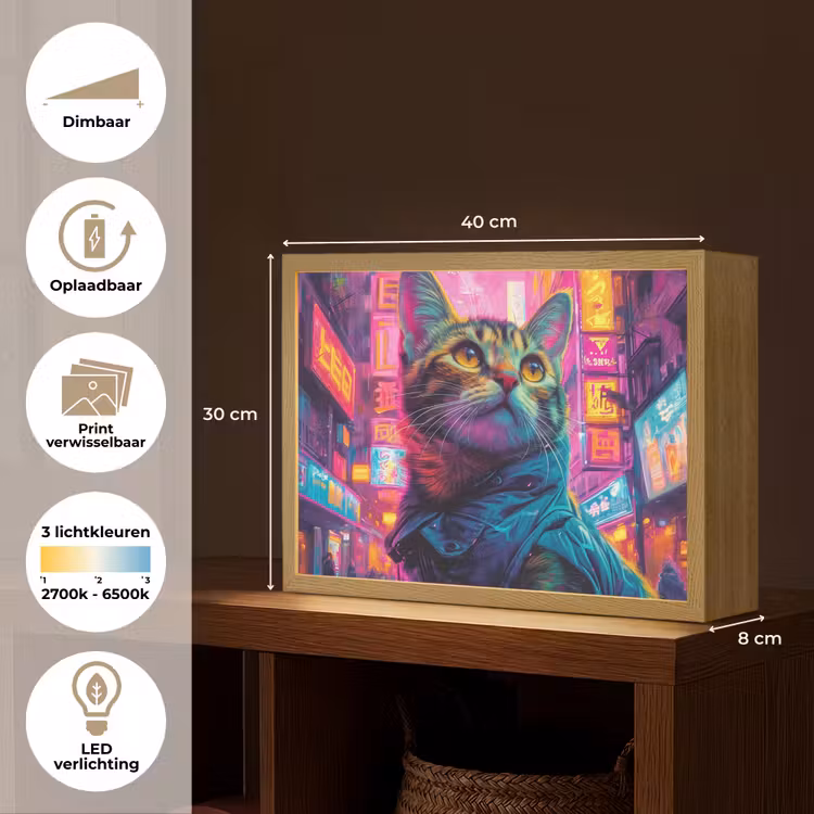 Lightbox - Wandlamp - Kat - Pop art - China - Neon - Stad — 10