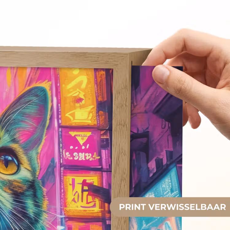 Lightbox - Wandlamp - Kat - Pop art - China - Neon - Stad — 5