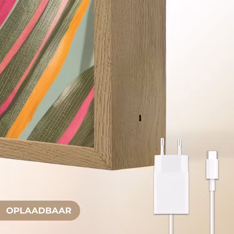 Lightbox - Wandlamp - Tak - Bladeren - Kleurrijk - Schaduw — 7