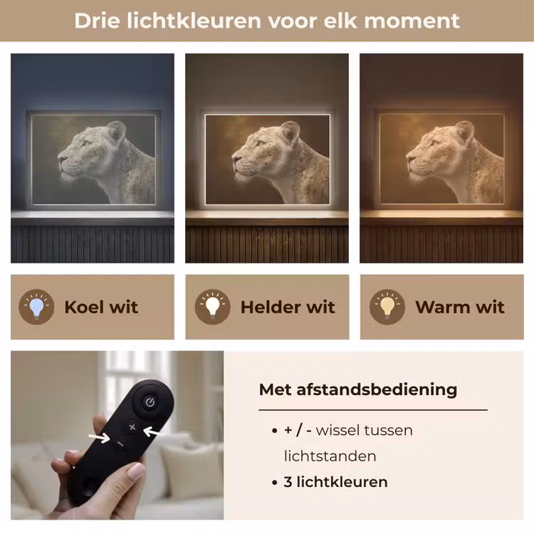 Lightbox - Wandlamp - Leeuwin - Bloemen - Wit - Goud — 8