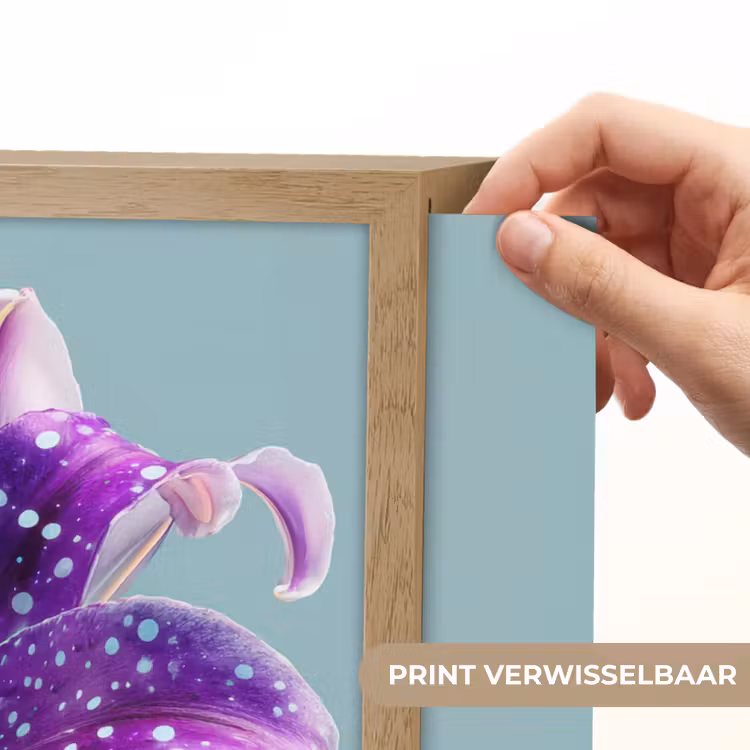 Lightbox - Wandlamp - Lelie - Bloem - Paars - Stippen — 5