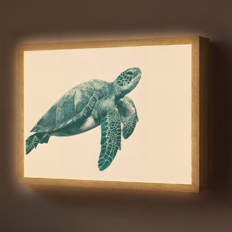 Lightbox - Wandlamp - Schildpad - Sierlijk - Groen - Schild — 1