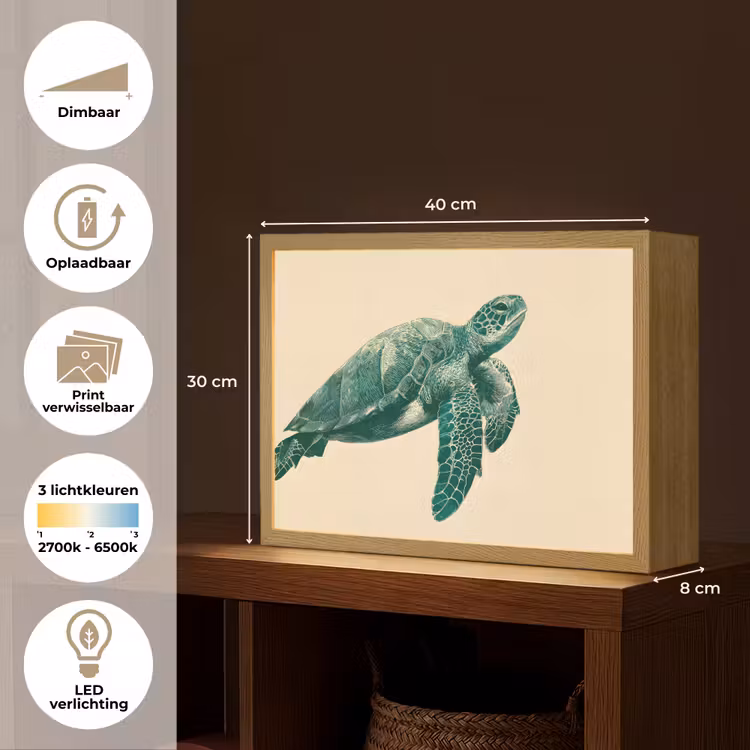 Lightbox - Wandlamp - Schildpad - Sierlijk - Groen - Schild — 10