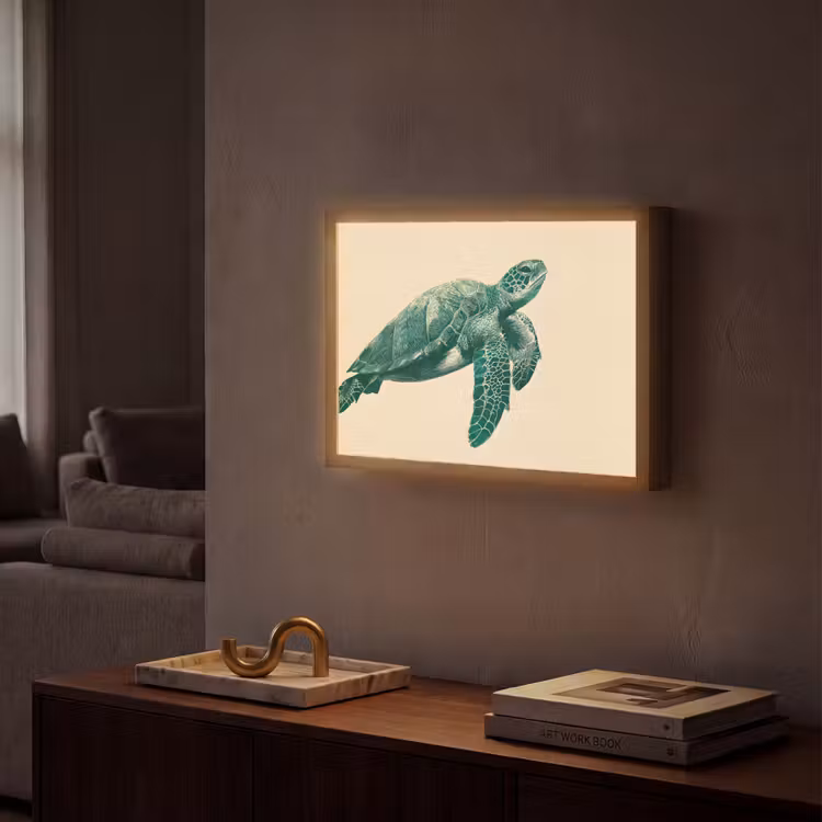 Lightbox - Wandlamp - Schildpad - Sierlijk - Groen - Schild — 2