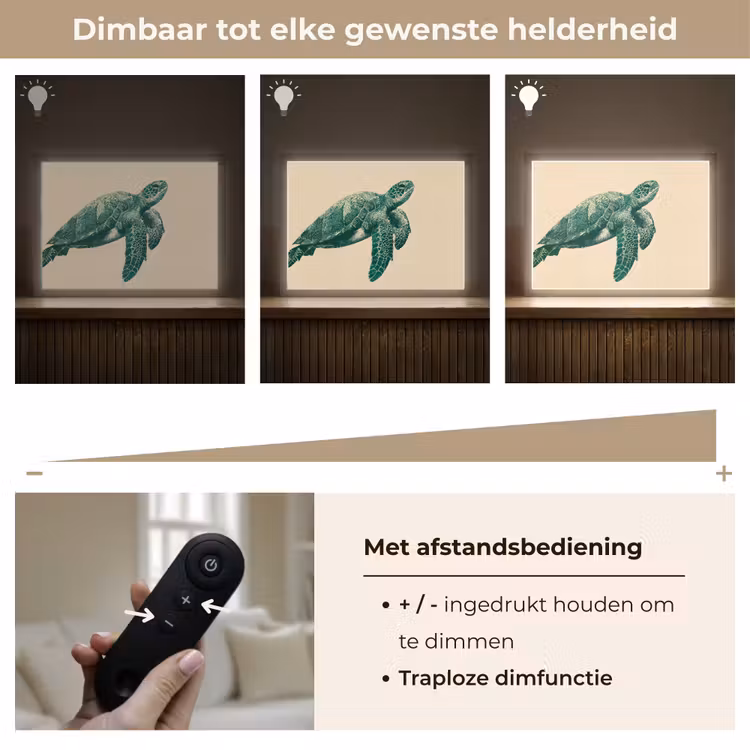 Lightbox - Wandlamp - Schildpad - Sierlijk - Groen - Schild — 9