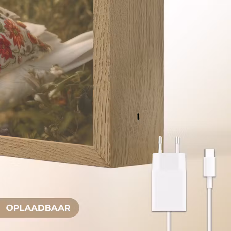 Lightbox - Wandlamp - Zwaan - Bloemen - Natuur — 7
