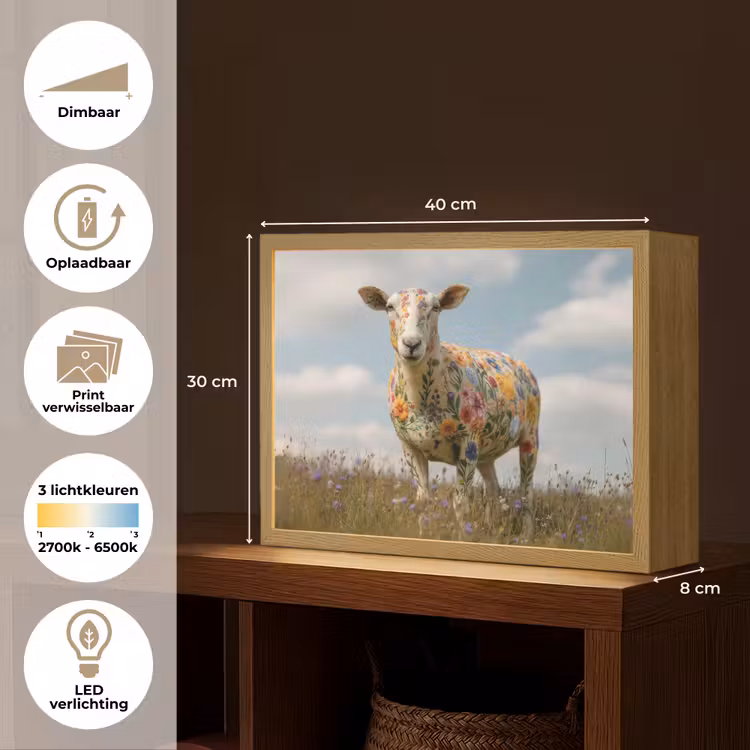 Lightbox - Wandlamp - Schaap - Bloemen - Weide — 10