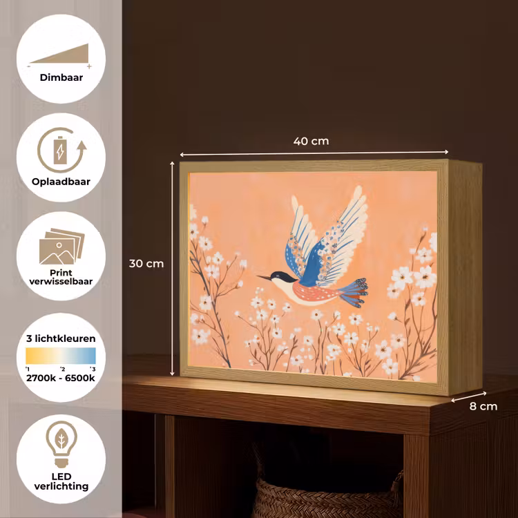 Lightbox - Wandlamp - Vogel - Bloesemtakken - Warm - Kleurrijk — 10