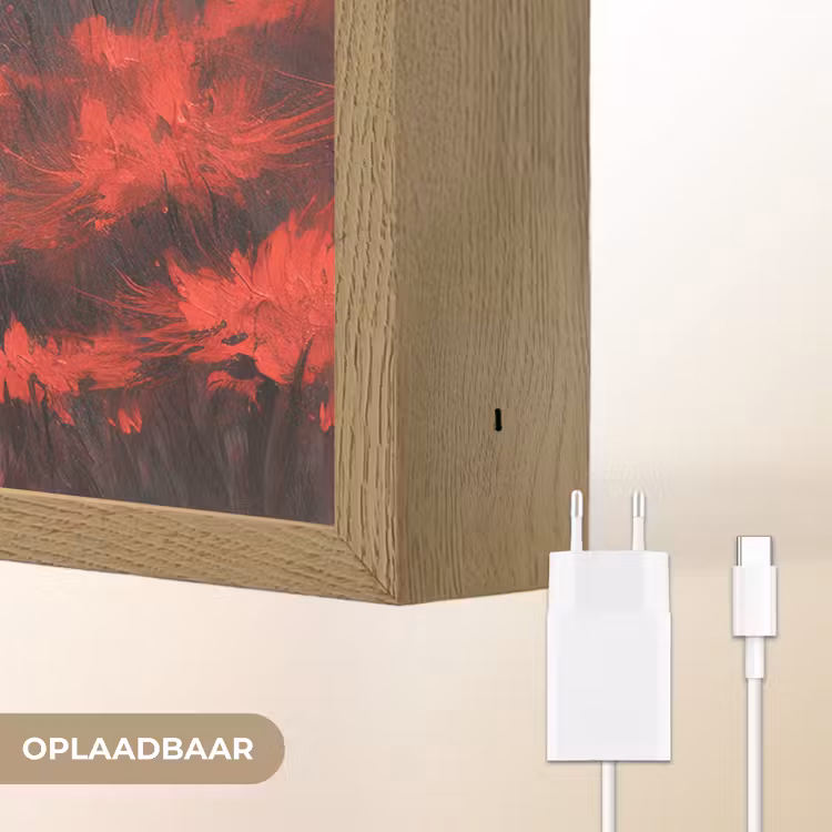 Lightbox - Wandlamp - Rode bloemen - mistig - Man — 7