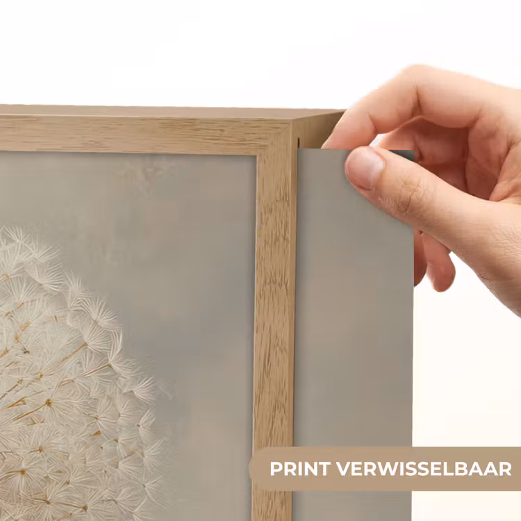 Lightbox - Wandlamp - Dromerig - Beige - Paardenbloemzaadjes — 5