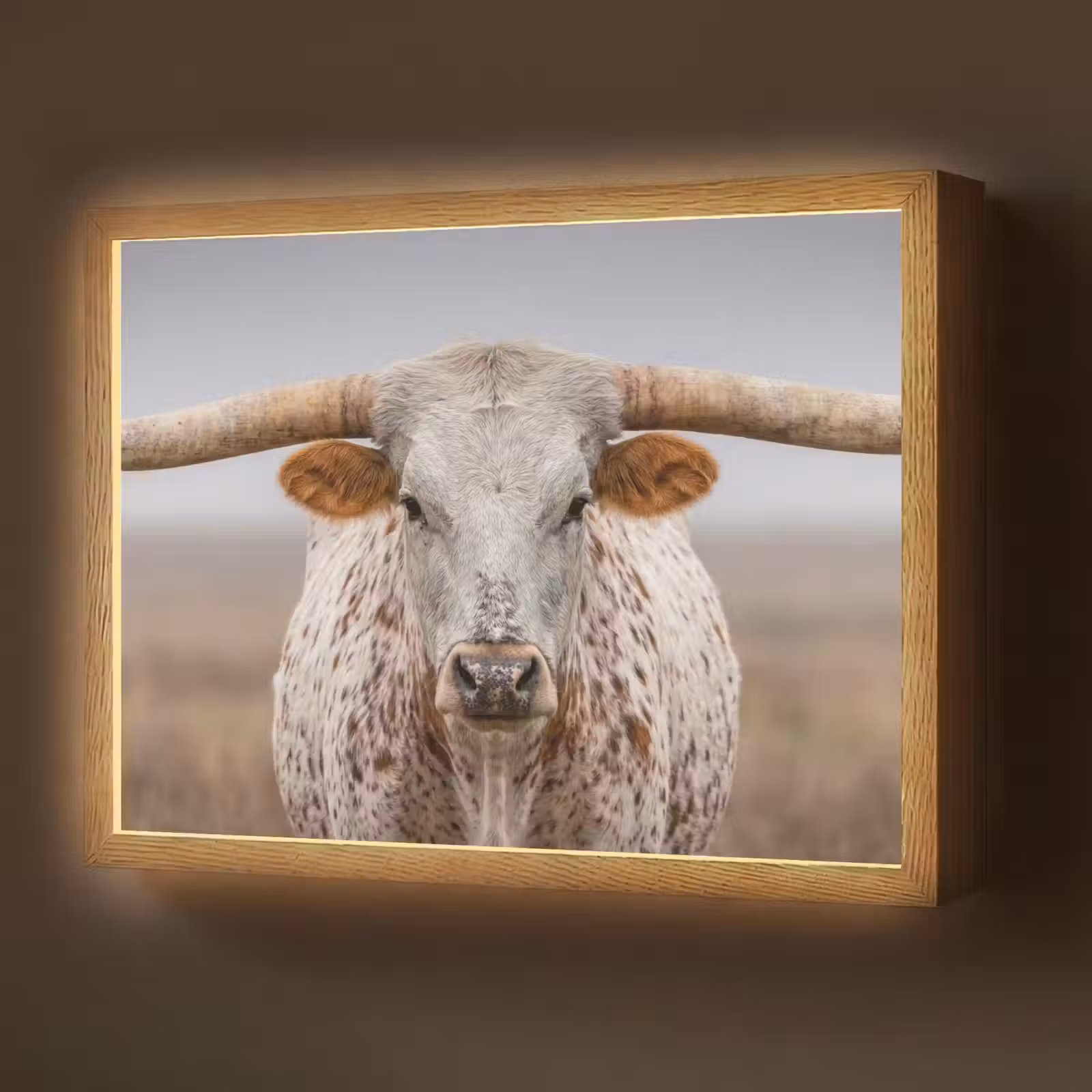 Lightbox - Wandlamp - Longhorn - Grasveld - Dier — 1
